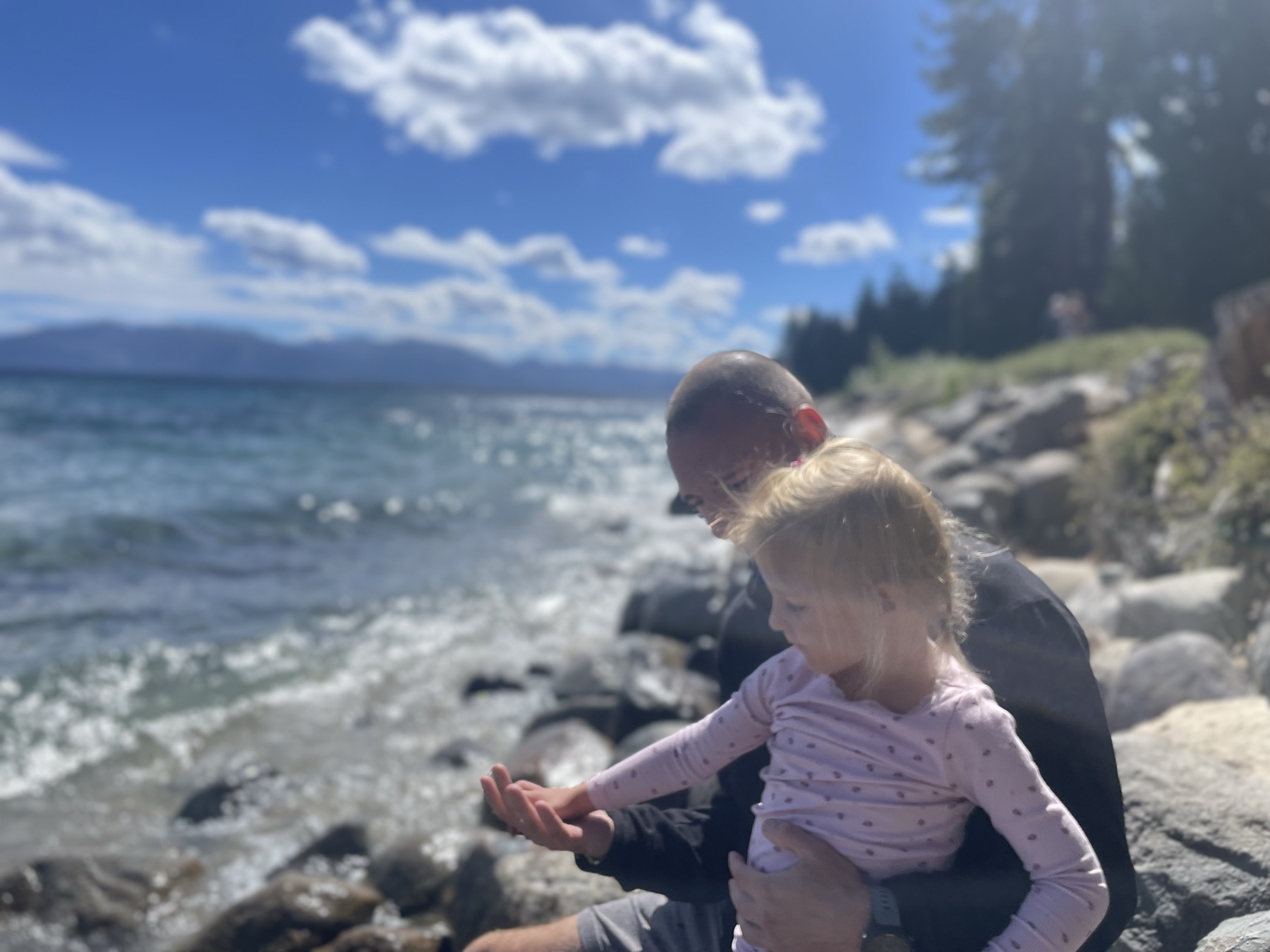 Nelly at Lake Tahoe, giving the water the kind of serious review usually reserved for contracts and dessert menus